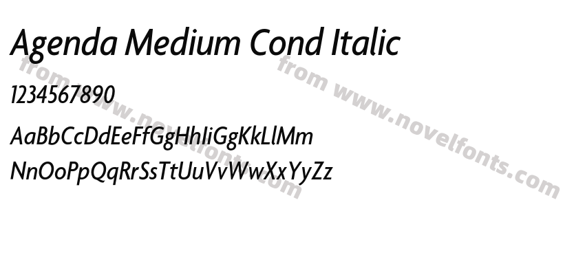 Agenda Medium Cond ItalicPreview