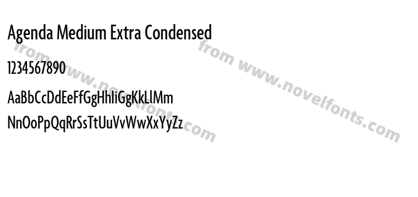 Agenda Medium Extra CondensedPreview