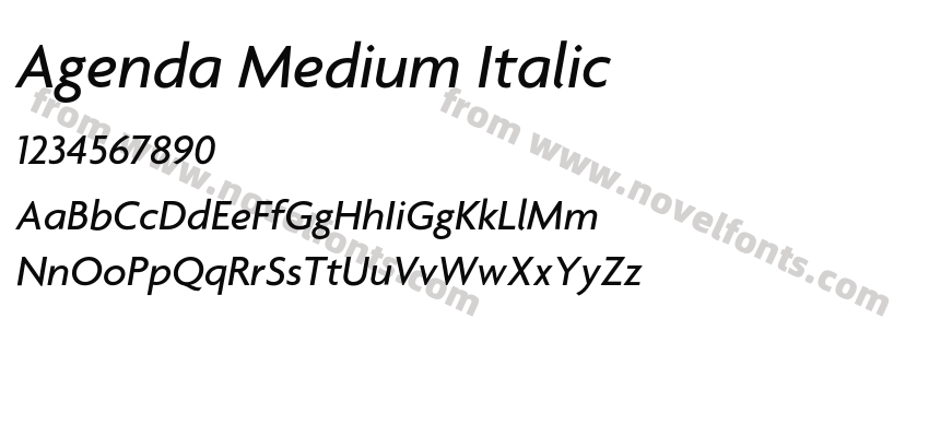 Agenda Medium ItalicPreview