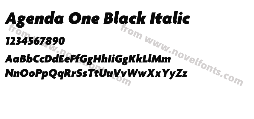 Agenda One Black ItalicPreview