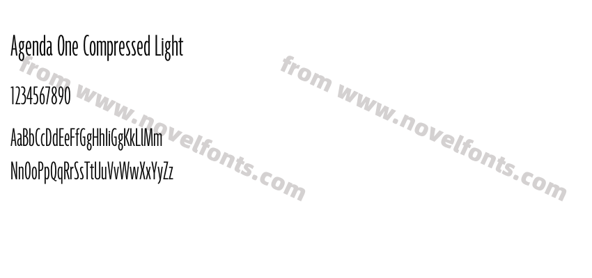 Agenda One Compressed LightPreview