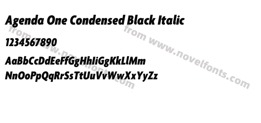 Agenda One Condensed Black ItalicPreview