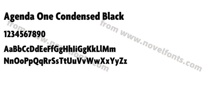Agenda One Condensed BlackPreview