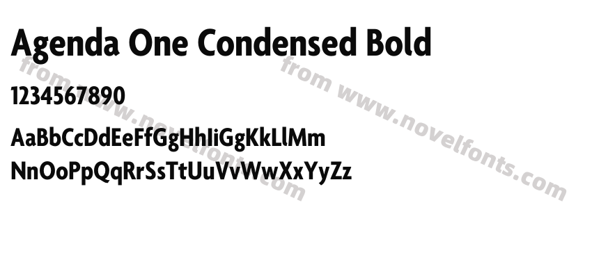 Agenda One Condensed BoldPreview