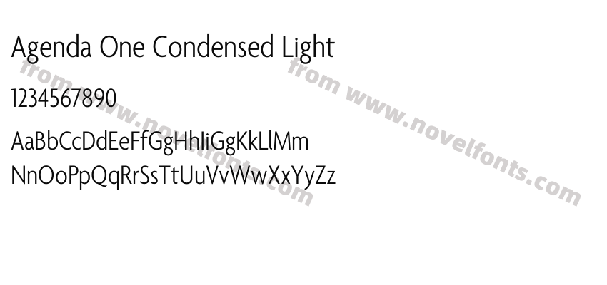 Agenda One Condensed LightPreview