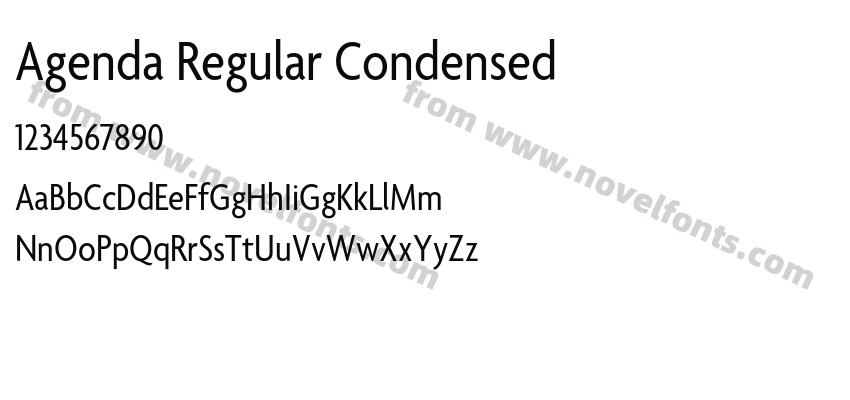 Agenda Regular CondensedPreview