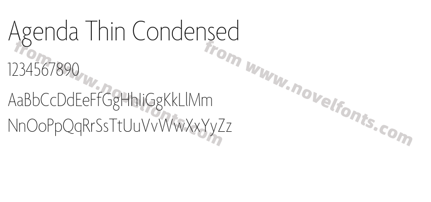 Agenda Thin CondensedPreview