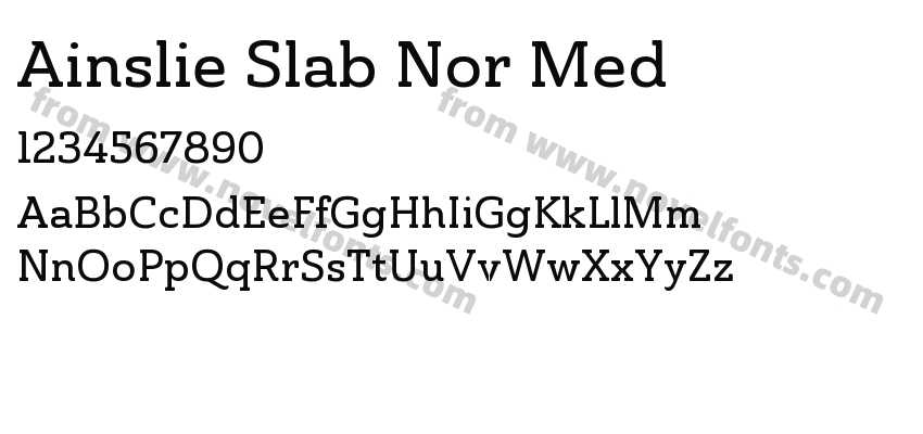 Ainslie Slab Nor MedPreview