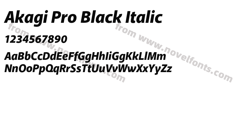 Akagi Pro Black ItalicPreview