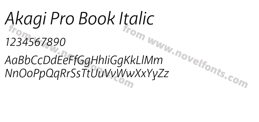 Akagi Pro Book ItalicPreview