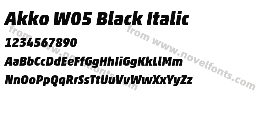 Akko W05 Black ItalicPreview