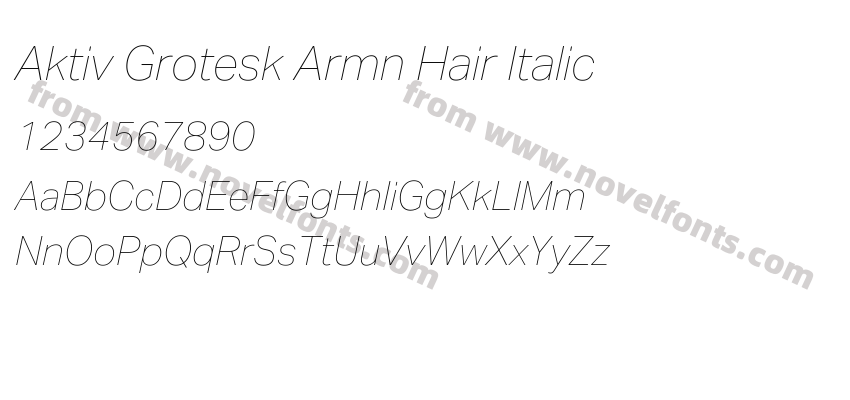 Aktiv Grotesk Armn Hair ItalicPreview