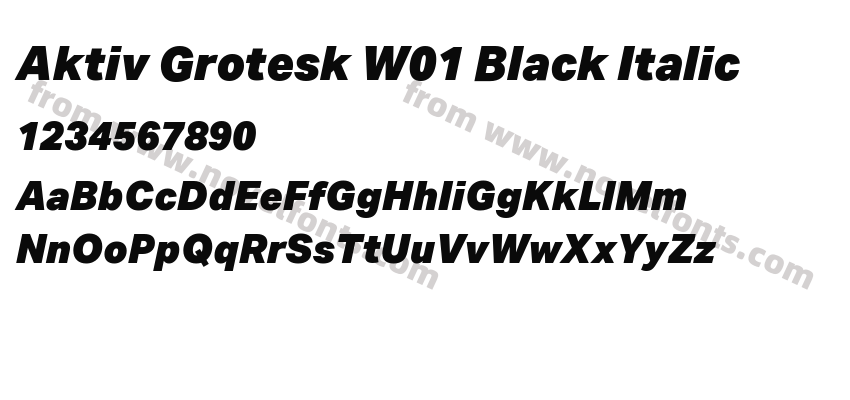 Aktiv Grotesk W01 Black ItalicPreview