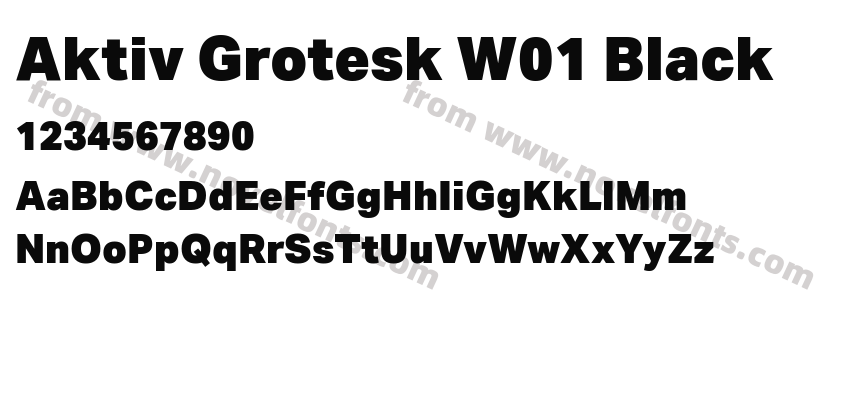 Aktiv Grotesk W01 BlackPreview