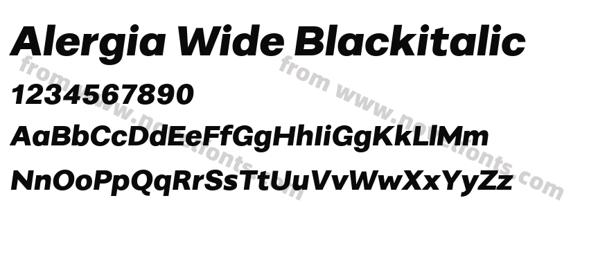 Alergia Wide BlackitalicPreview