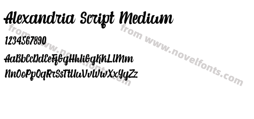 Alexandria Script MediumPreview