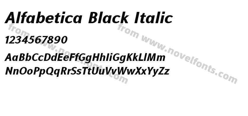 Alfabetica Black ItalicPreview