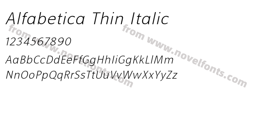 Alfabetica Thin ItalicPreview