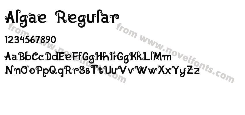 Algae RegularPreview