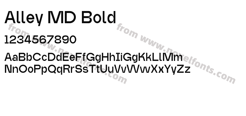 Alley MD BoldPreview