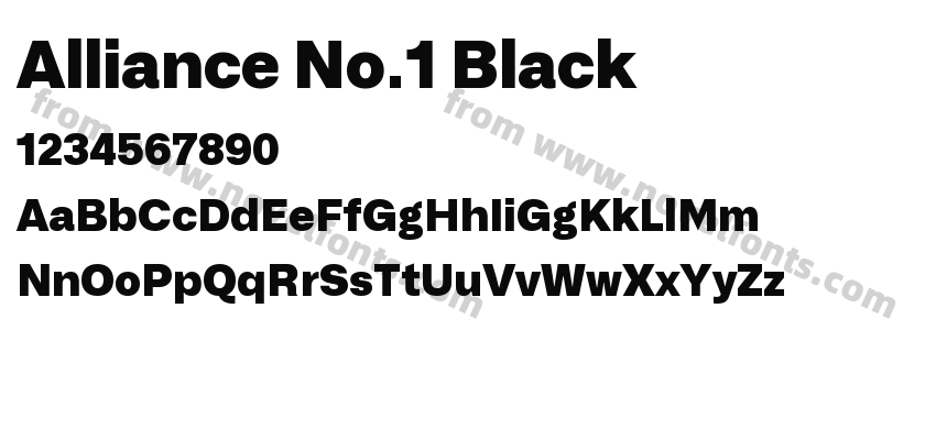 Alliance No.1 BlackPreview