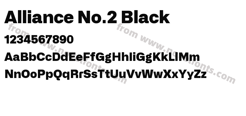 Alliance No.2 BlackPreview