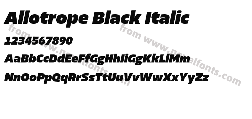 Allotrope Black ItalicPreview