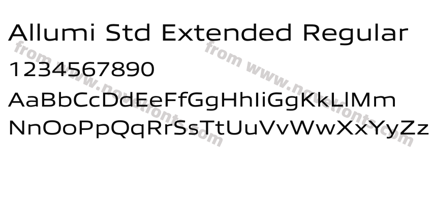Allumi Std Extended RegularPreview