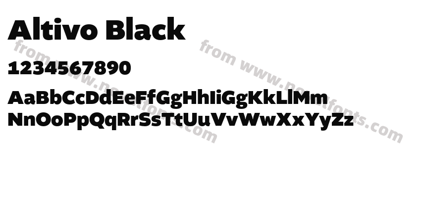 Altivo BlackPreview