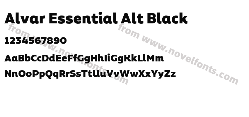 Alvar Essential Alt BlackPreview