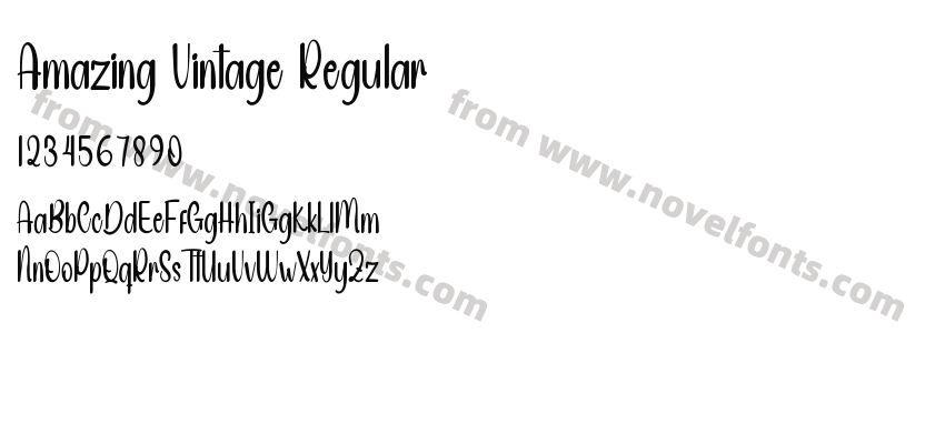 Amazing Vintage RegularPreview