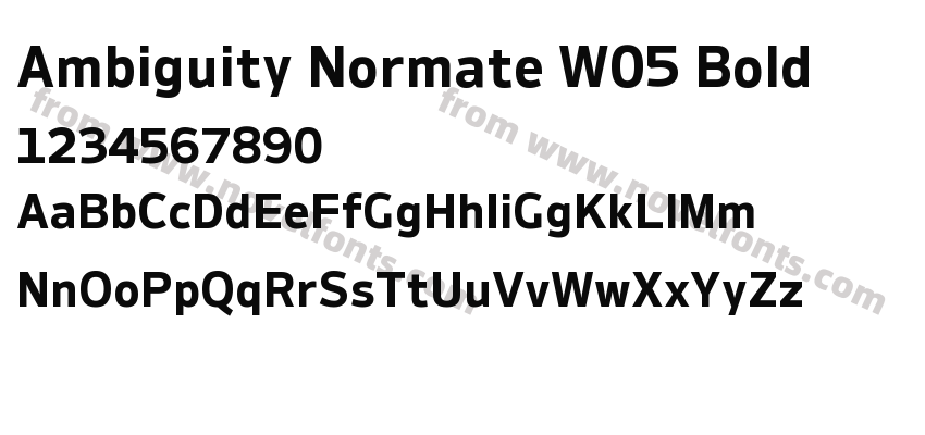 Ambiguity Normate W05 BoldPreview