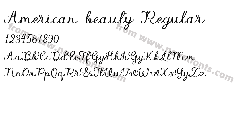 American beauty RegularPreview
