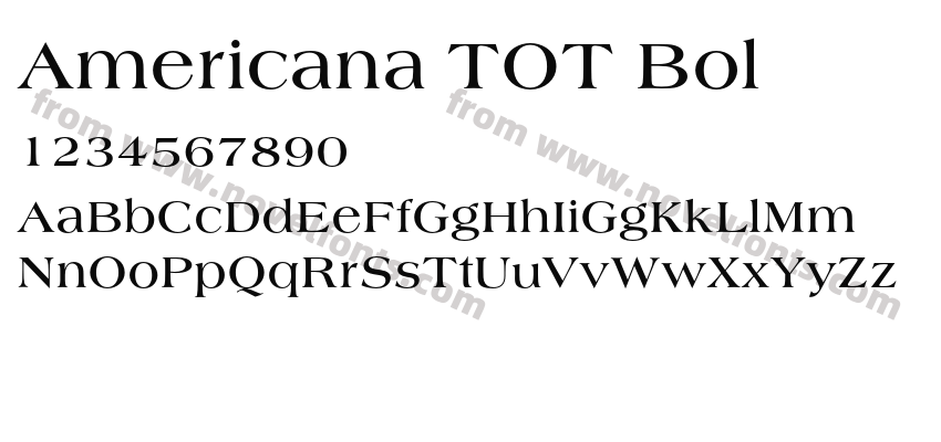Americana TOT BolPreview