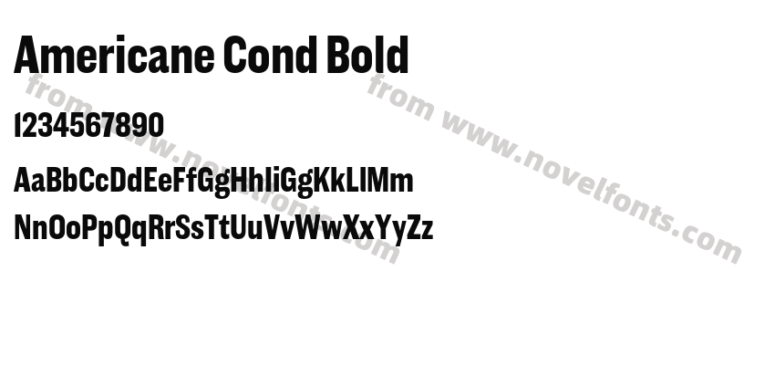 Americane Cond BoldPreview