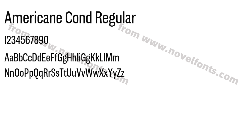 Americane Cond RegularPreview