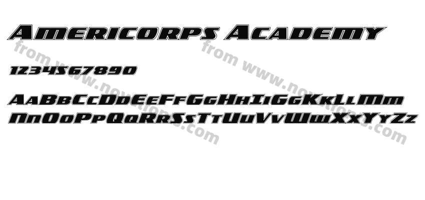 Americorps AcademyPreview