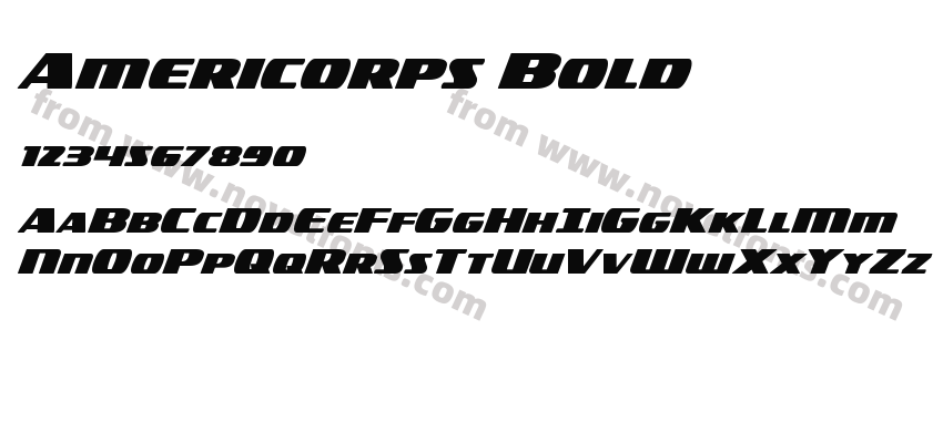 Americorps BoldPreview