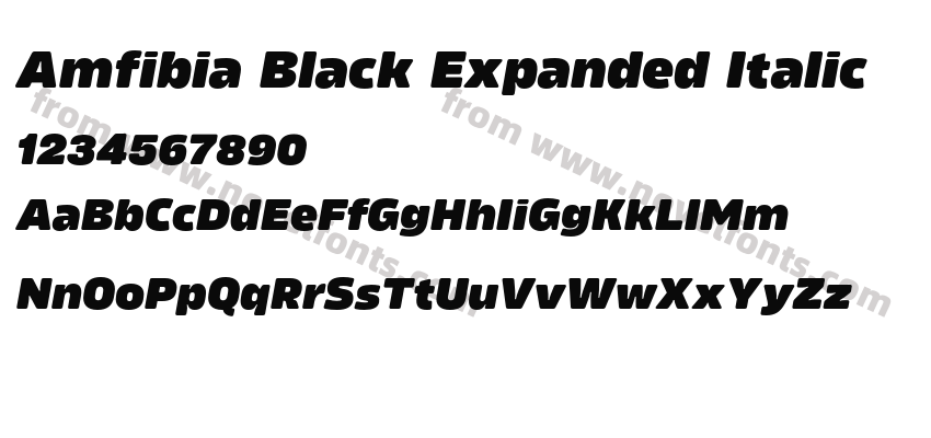 Amfibia Black Expanded ItalicPreview