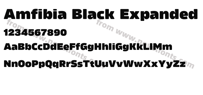 Amfibia Black ExpandedPreview