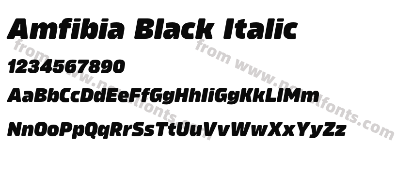 Amfibia Black ItalicPreview