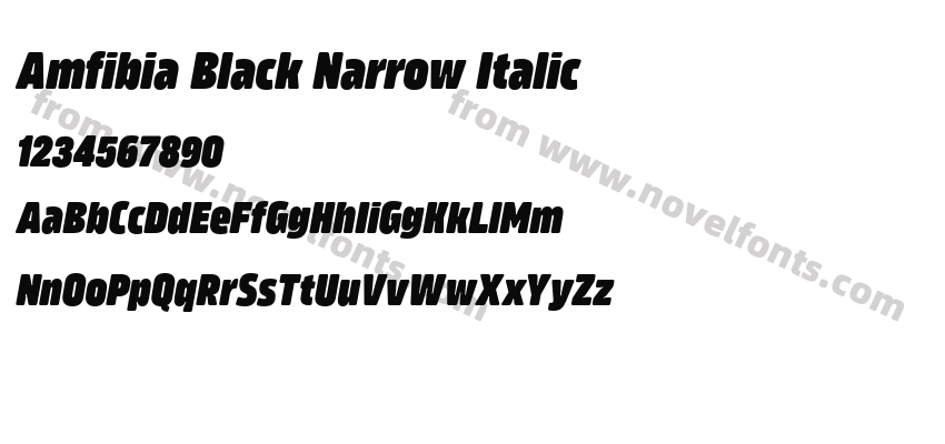 Amfibia Black Narrow ItalicPreview