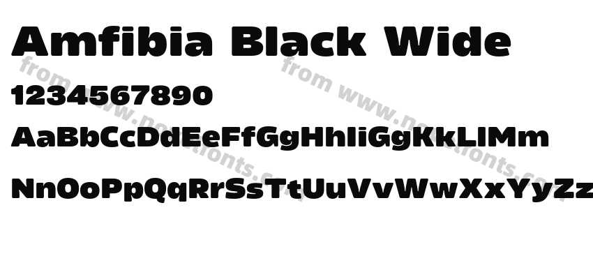 Amfibia Black WidePreview