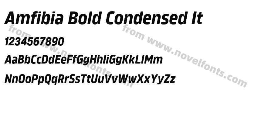 Amfibia Bold Condensed ItPreview