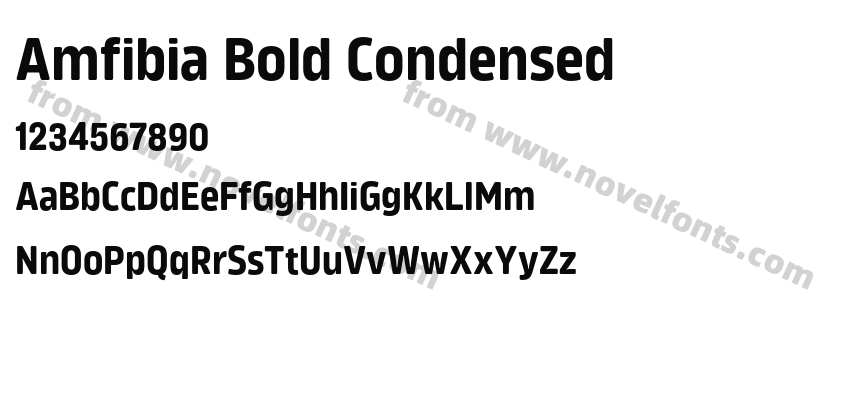 Amfibia Bold CondensedPreview