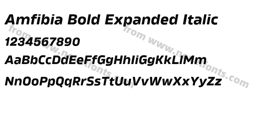 Amfibia Bold Expanded ItalicPreview