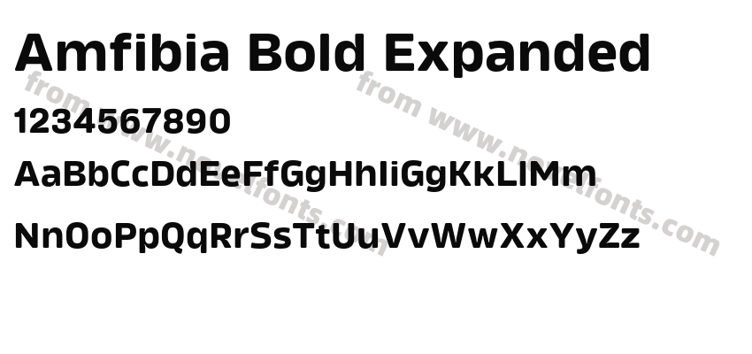 Amfibia Bold ExpandedPreview