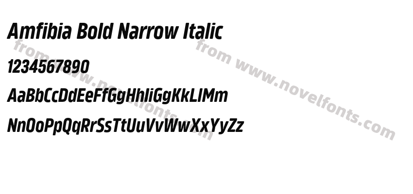Amfibia Bold Narrow ItalicPreview