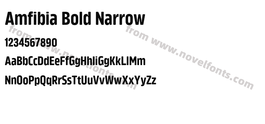 Amfibia Bold NarrowPreview
