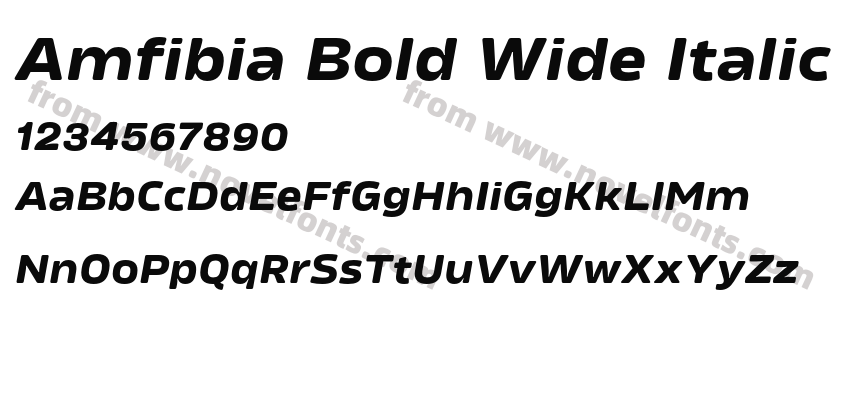Amfibia Bold Wide ItalicPreview